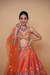 rust colour lehenga with mirror work and designer blouse design and net dupatta