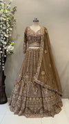 Front view bronze tissue organza lehenga skirt and matching embellished blouse premium ethnic wear from Urban Dulhaniya