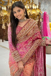 Front view of pink printed chinon saree with handwork full sleeves, designer bridal wear at Urban Dulhaniya Pune
