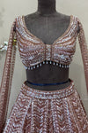 Brown Net Embroidered Lehenga Choli with Long Sleeves | Bridal Wear
