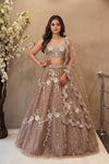 Mocha Brown Hand Embroidered Lehenga Choli with Heavy Dupatta | Wedding