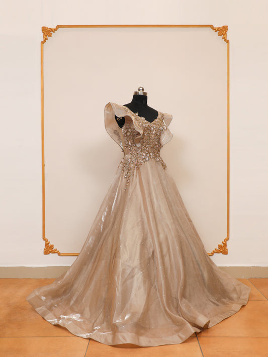Tissue Glass Fabrication Beige Colour Gown with zardoshi, sequin and zarkan work